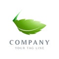 Green leaf logo template that is falling