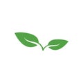 green leaf logo vector template icon.