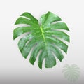 Green leaf low poly-1 Royalty Free Stock Photo