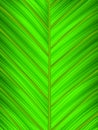 Green leaf macro Royalty Free Stock Photo