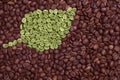 Green leaf made of coffee beans