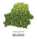 Green leaf map of belarus vector illustration of a forest is concept