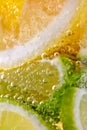 Green leaf of mint, pieces of lemon and lime with bubbles in a transparent glass. Macro photo of summer cold mojito Royalty Free Stock Photo