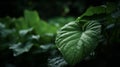 Green leaf with nature in a garden summer. Generative ai Royalty Free Stock Photo