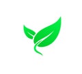 Green leaf new trendy vector icon for vegan, bio eco design. Royalty Free Stock Photo