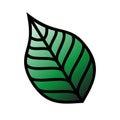 Green leaf in old school tattoo style. vector illustration Royalty Free Stock Photo