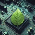 Green leaf over circuit board, technology and sustainability concept. ai generative