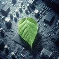 Green leaf over circuit board, technology and sustainability concept. ai generative