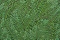 Green Leaf Pattern Background. Generative AI Royalty Free Stock Photo