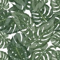 Green Leaf Pattern. Seamless Floral Background