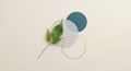 Green leaf placed over three overlapping circular shapes in blue and gray tones, with a Royalty Free Stock Photo