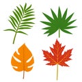 Green leaf red leaf yellow beautiful leaf artwork