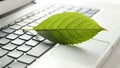 Green leaf resting on a laptop keyboard in a bright workspace Generative AI Royalty Free Stock Photo