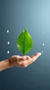 Vector sign environment friendly, hand and leaf. creative concept. Royalty Free Stock Photo