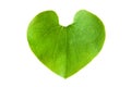 Green leaf in shape of heart Royalty Free Stock Photo