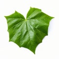 Green Leaf Shaped Like Heart - High Quality Stock Photo Royalty Free Stock Photo