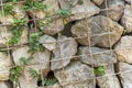 Green leaf slides along the with gray brick wall. Royalty Free Stock Photo