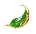 Green leaf in splashes of oil close up isolated on a white background Royalty Free Stock Photo