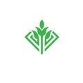 Green leaf and sprout vector logo concept