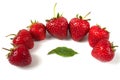 Green leaf and strawberrys on white background