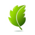 Green Leaf Symbol Royalty Free Stock Photo