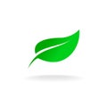 Green leaf symbol Royalty Free Stock Photo