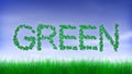 Green Leaf Text Animation