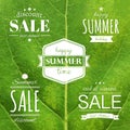 Green Leaf Texture With Summer Label