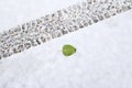 Green leaf beside a tire track on a fresh snow fall Royalty Free Stock Photo