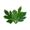 green leaf vector design, Women\'s long dress pattern design, natural green leaves bundile