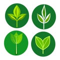 Green leaf vector icon set and logo design symbol Royalty Free Stock Photo