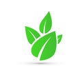 Green leaf vector icon for vegan, bio eco design vector. Royalty Free Stock Photo