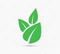 Green leaf vector icon for vegan, bio eco design vector. Royalty Free Stock Photo