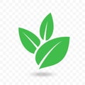 Green leaf vector icon for vegan, bio eco design