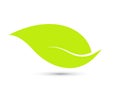 Green leaf vector icon for vegan, bio eco design vector. Royalty Free Stock Photo