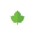 Green leaf. Icon Leaf. Vector illustartion. EPS 10.