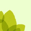Green leaf. Vector illustration Royalty Free Stock Photo