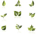 Green leaf vector set.