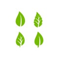 Green leaf vector stock illustration logo icon. Nature. Plant. Tree. Eco. Environtment. Hijau