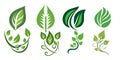 Green leaf vine vector graphics illustration