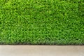 Green leaf wall and background Royalty Free Stock Photo