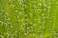 Green leaf in water