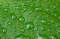 Green leaf with water drop. Nature horizontal background Royalty Free Stock Photo