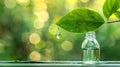 Green leaf with water droplet and a clear bottle. Close-up of dew on foliage and a jar. Concept of nature, purity Royalty Free Stock Photo