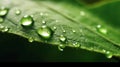 A green leaf with water droplets surface. generative ai. Royalty Free Stock Photo