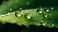 A green leaf with water droplets surface. generative ai. Royalty Free Stock Photo