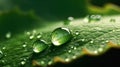 A green leaf with water droplets surface. generative ai. Royalty Free Stock Photo