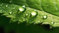 A green leaf with water droplets surface. generative ai. Royalty Free Stock Photo