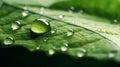 A green leaf with water droplets surface. generative ai. Royalty Free Stock Photo