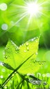 Green Leaf With Water Drops. Generative AI Royalty Free Stock Photo